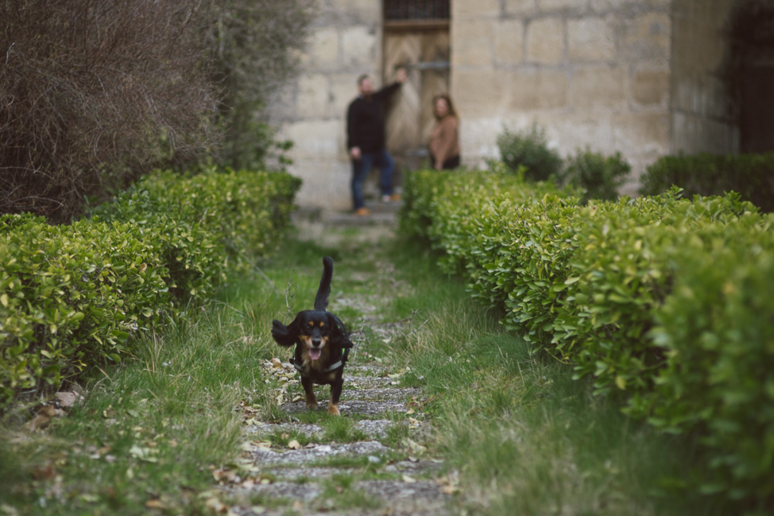 pre-anaysergio-web-51