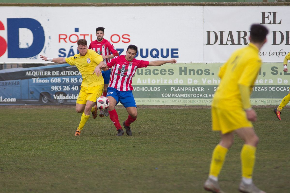 tordesillas-avila-2019-46