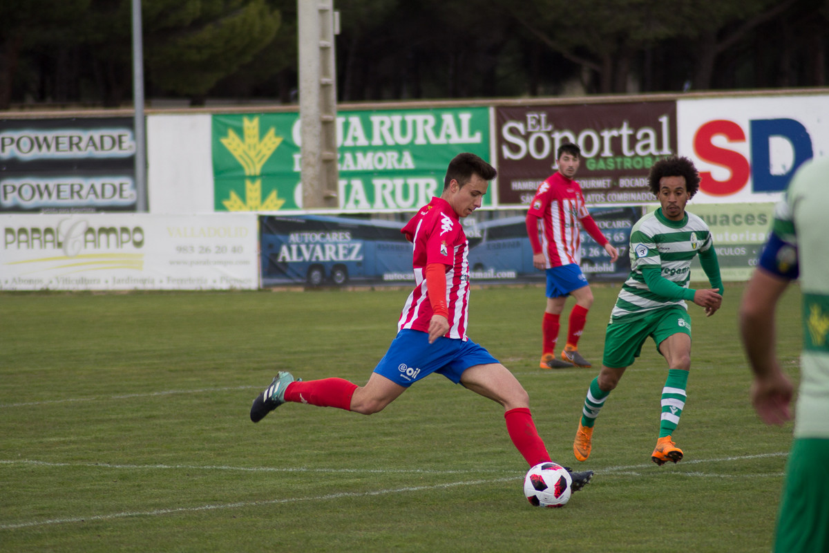 torde-virgen-camino-41