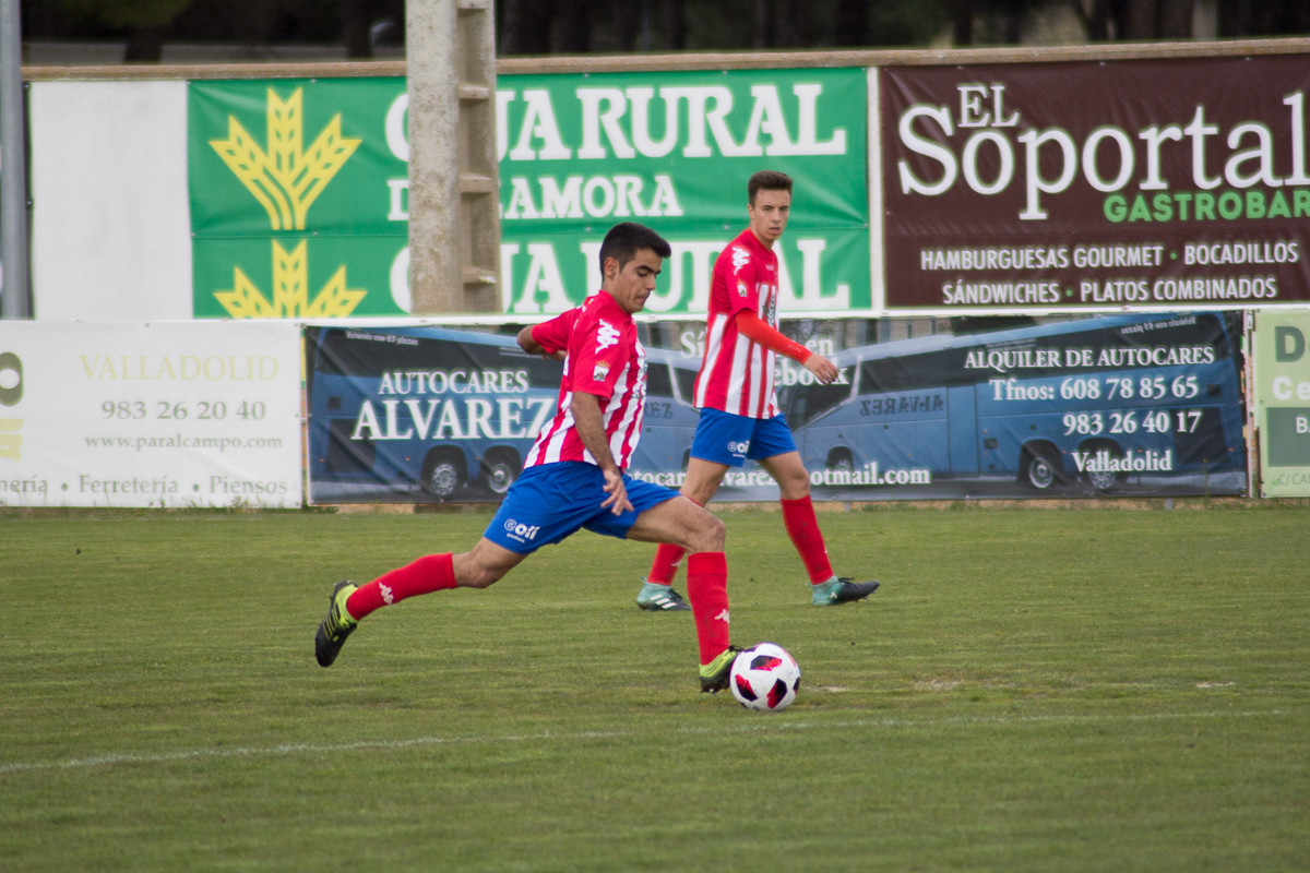 torde-virgen-camino-44