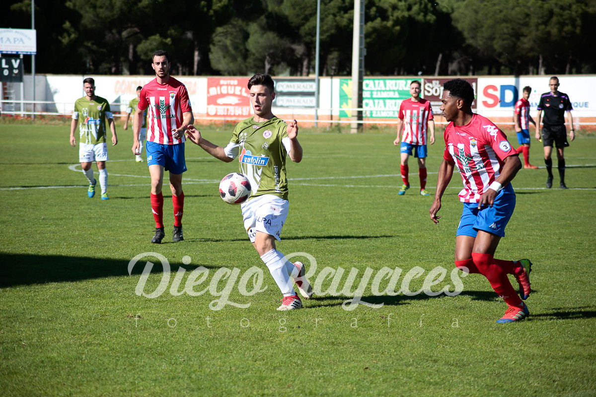 torde-cristo-2019-42