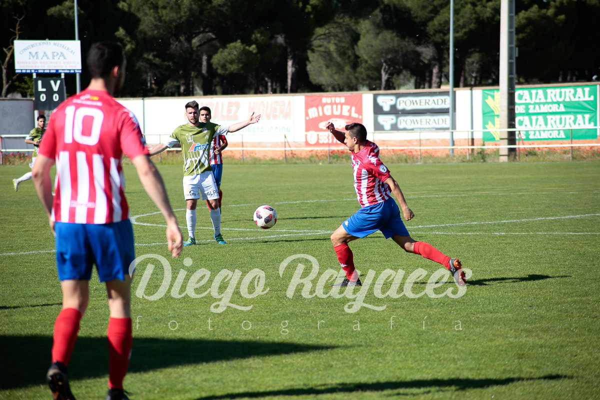 torde-cristo-2019-43