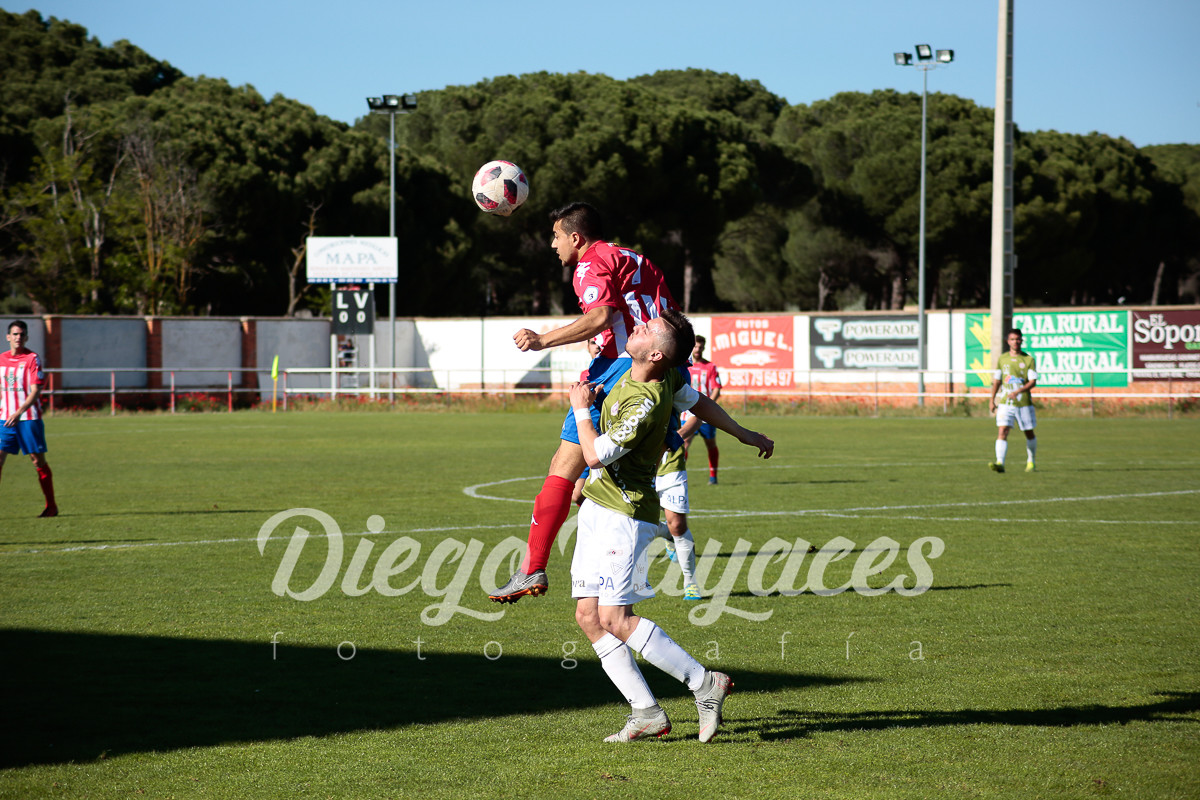 torde-cristo-2019-46