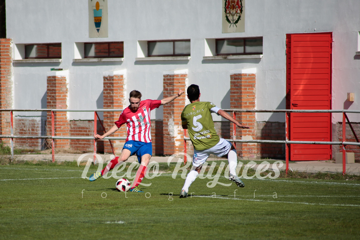 torde-cristo-2019-49