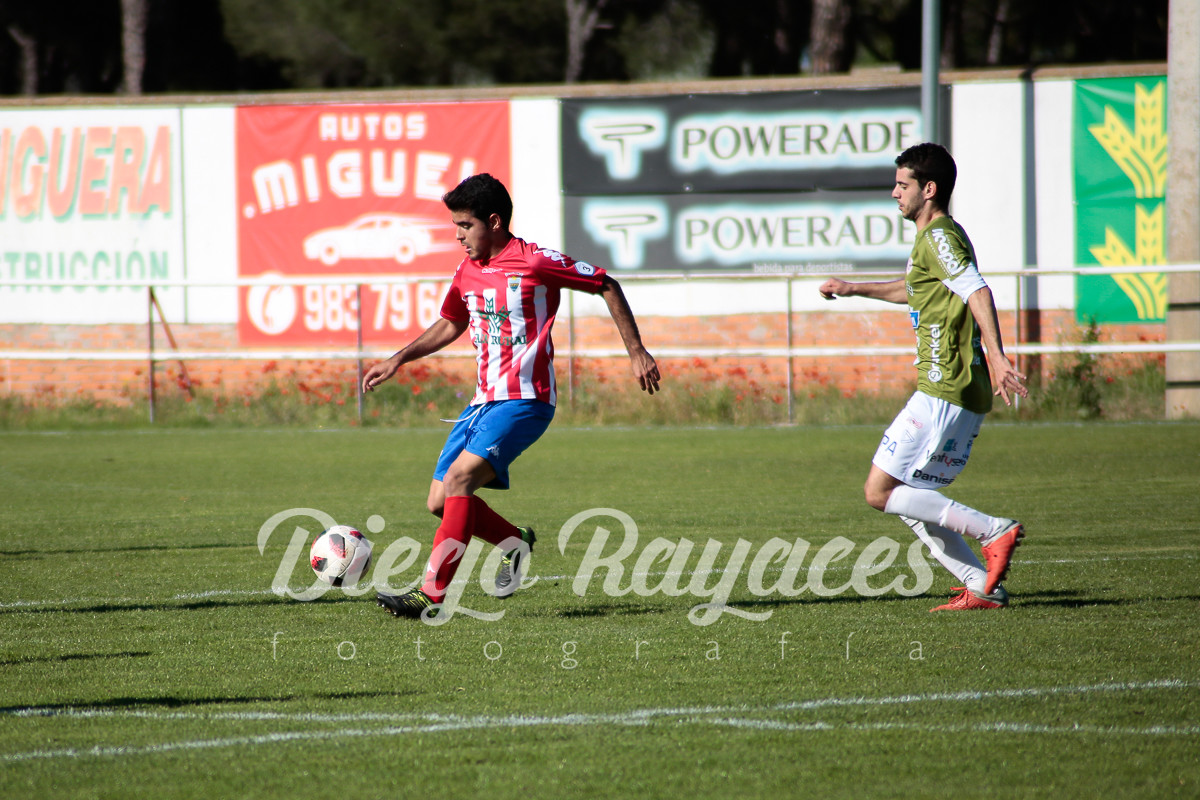 torde-cristo-2019-58