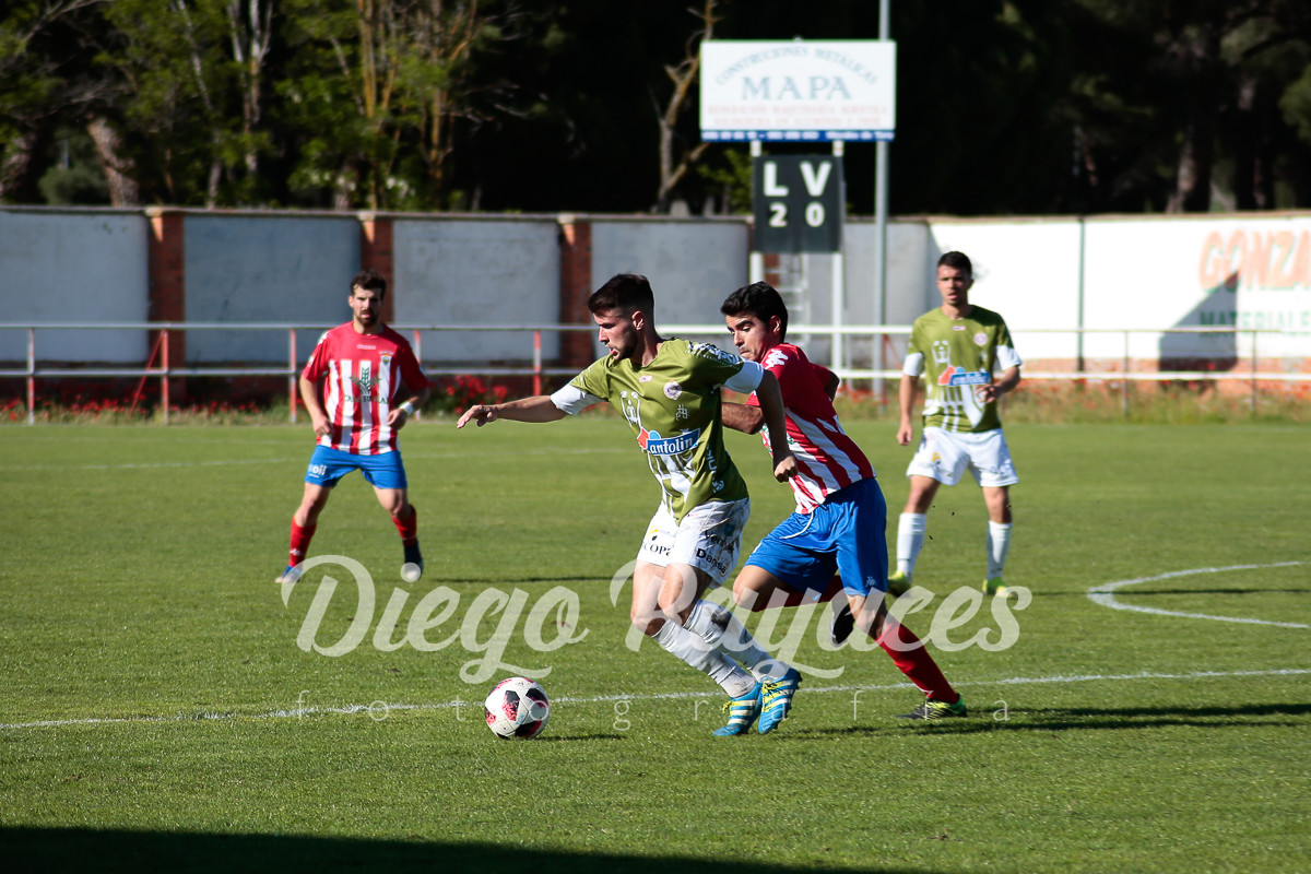 torde-cristo-2019-61