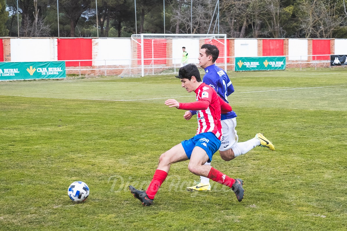 tordesillas-penaranda-34