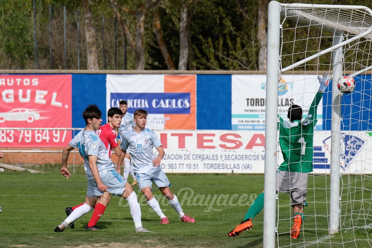 torde-mirandes-3421-10