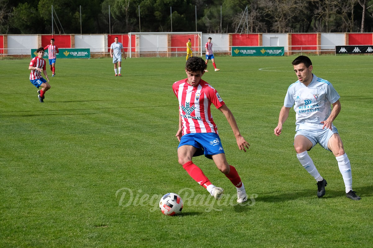 torde-mirandes-3421-24
