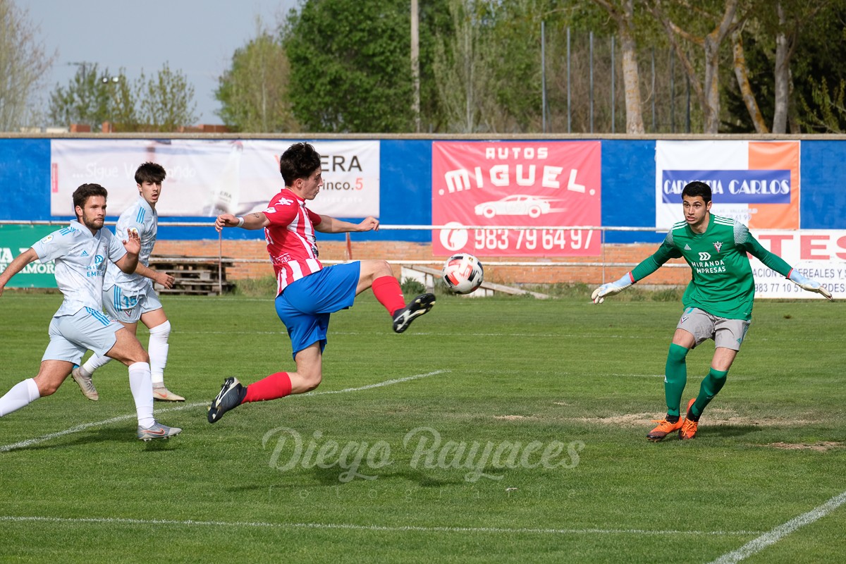torde-mirandes-3421-35