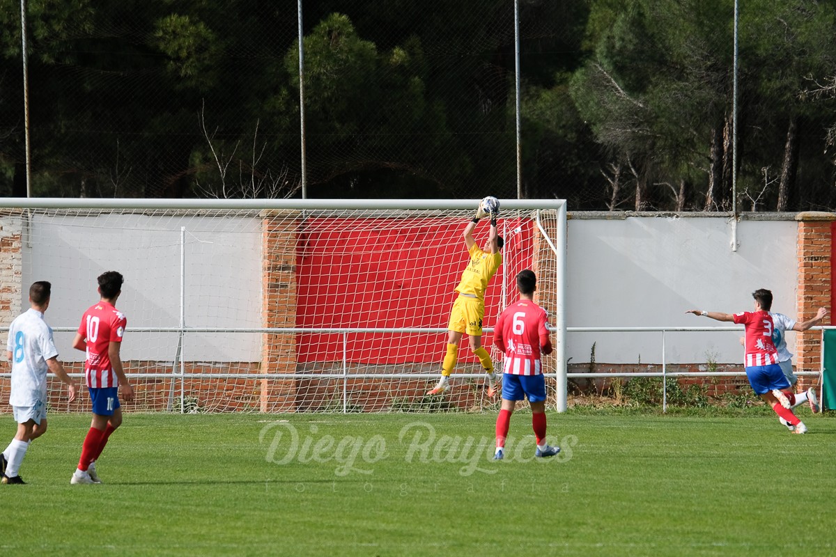 torde-mirandes-3421-37