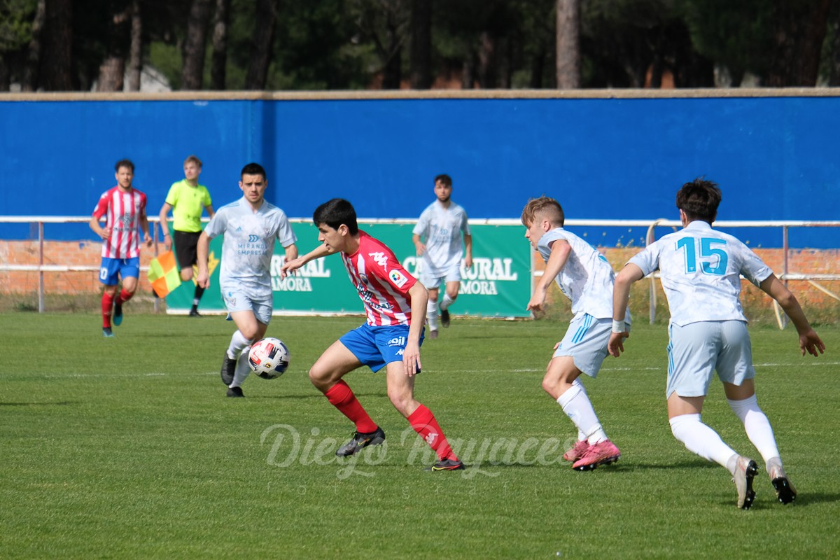 torde-mirandes-3421-4