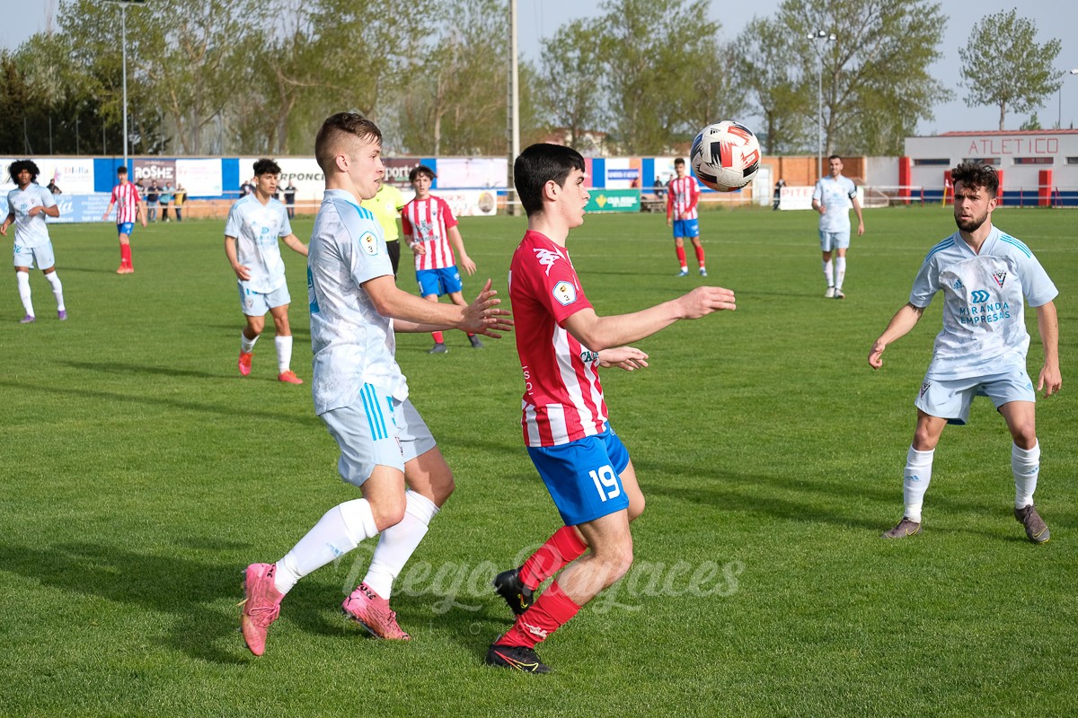 torde-mirandes-3421-54
