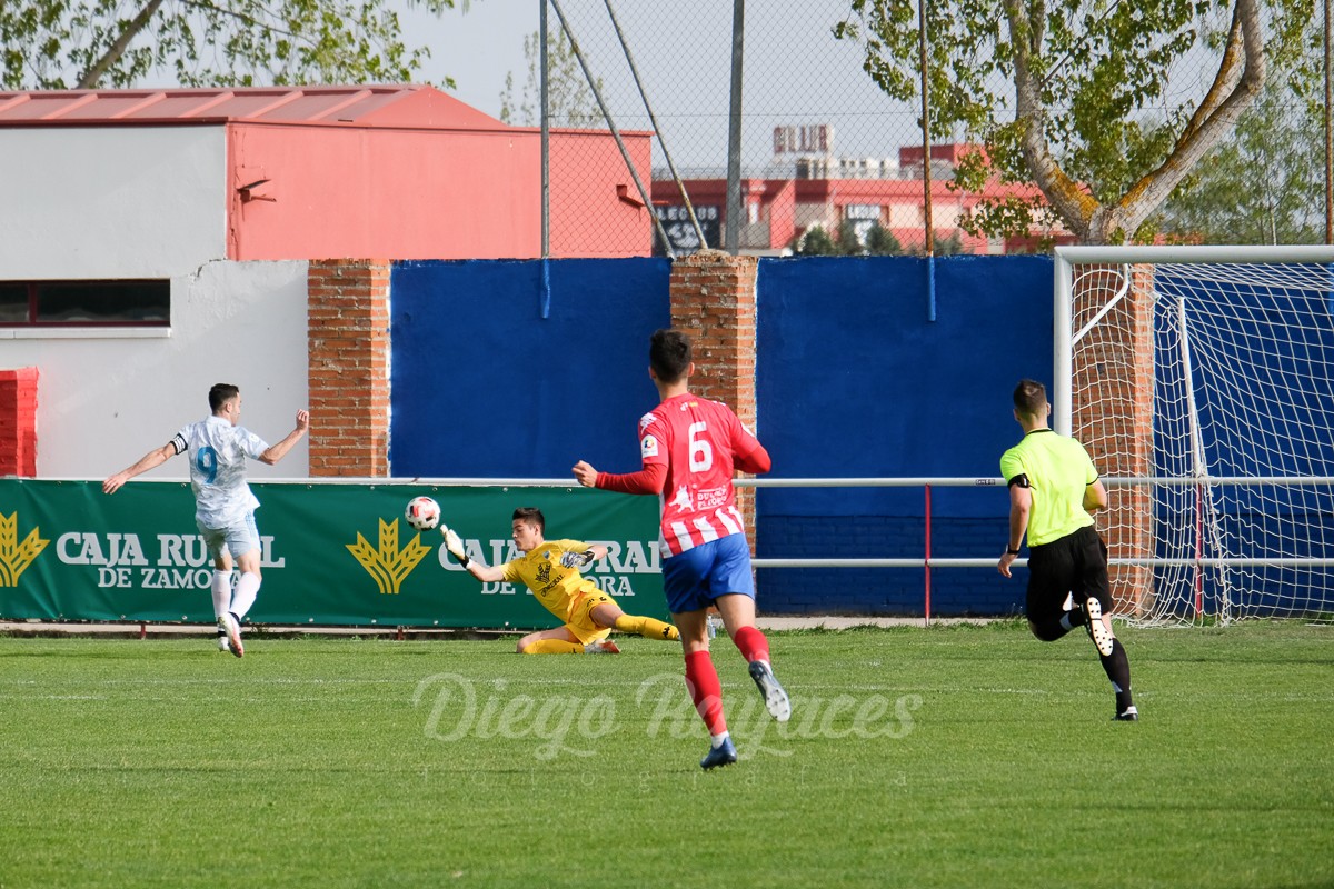 torde-mirandes-3421-55