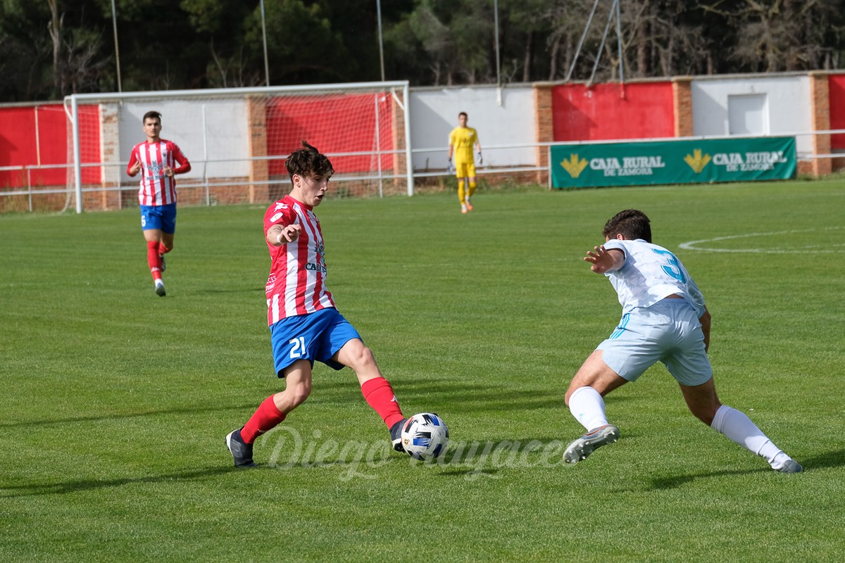 torde-mirandes-3421-5