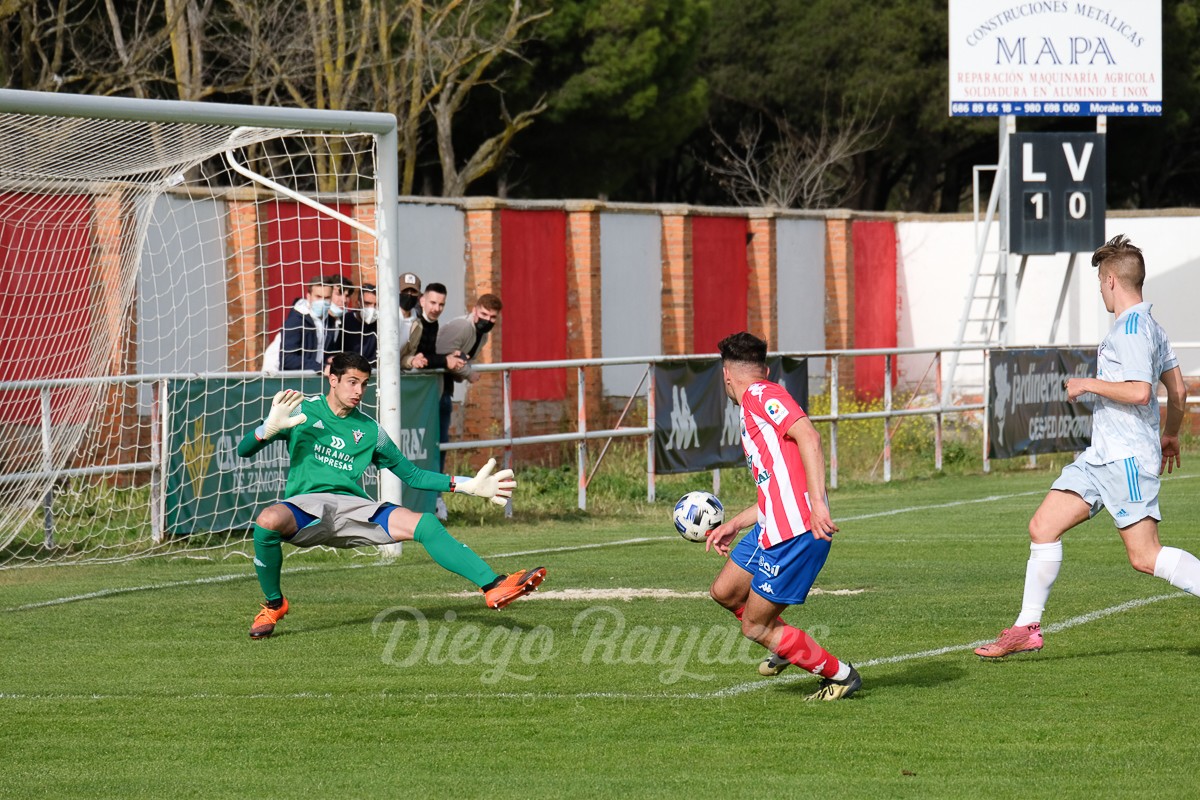 torde-mirandes-3421-66