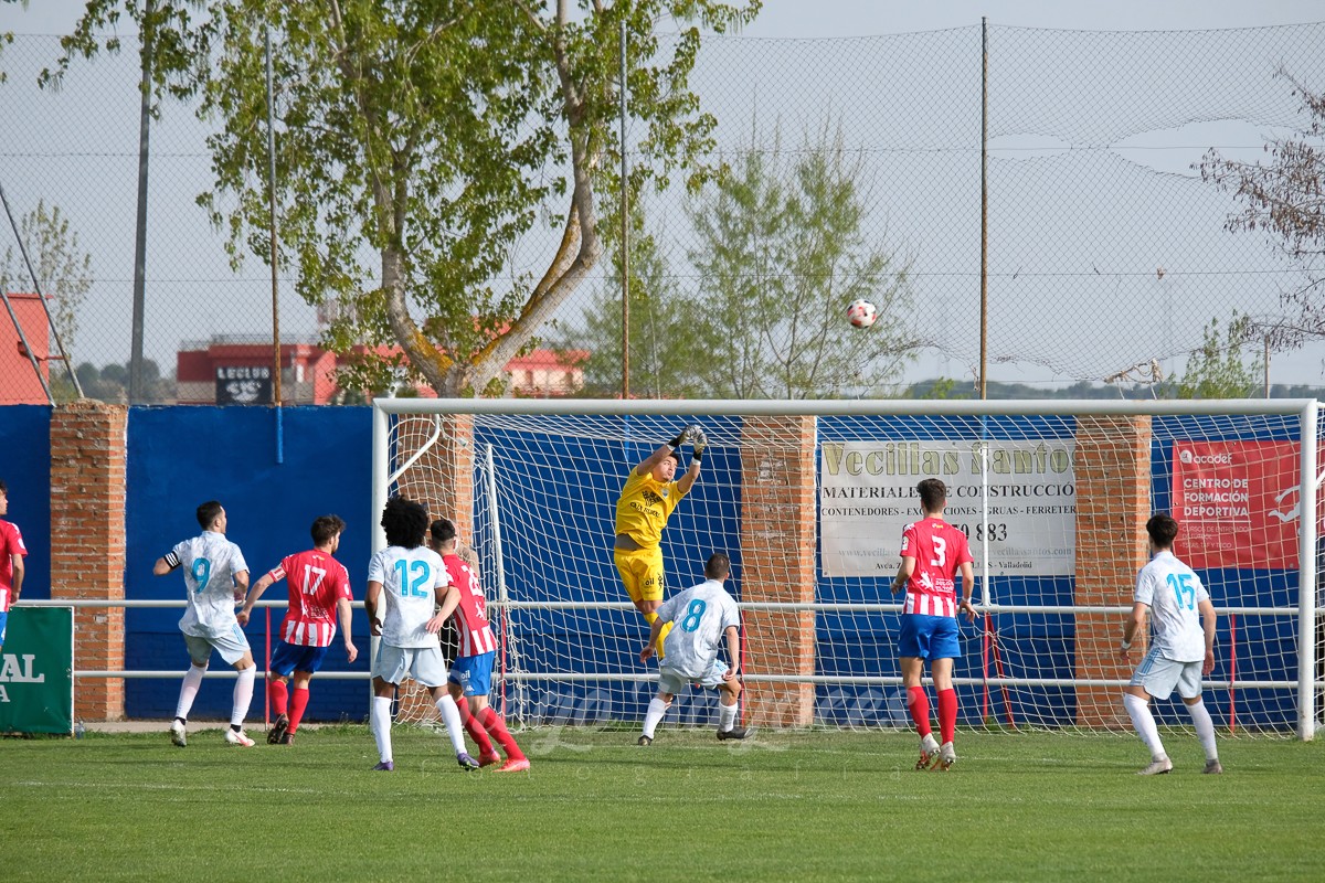 torde-mirandes-3421-78