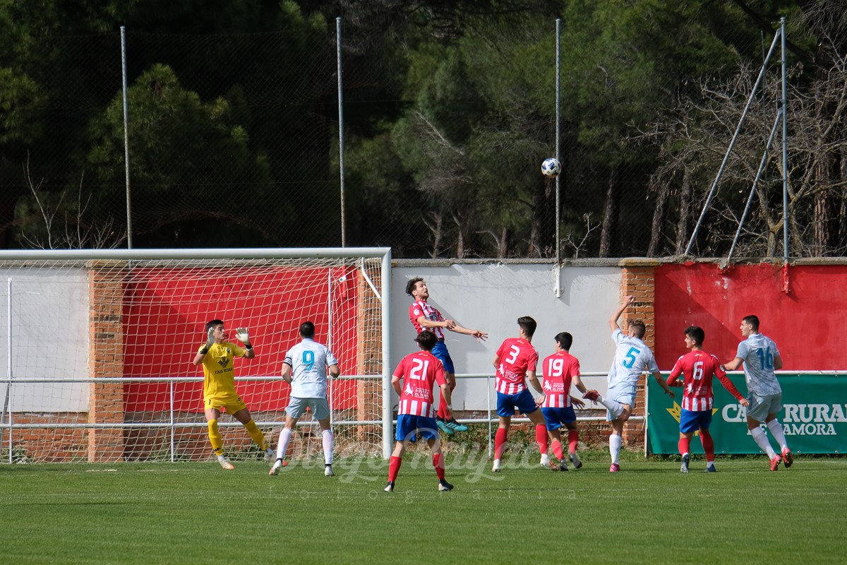 torde-mirandes-3421-7