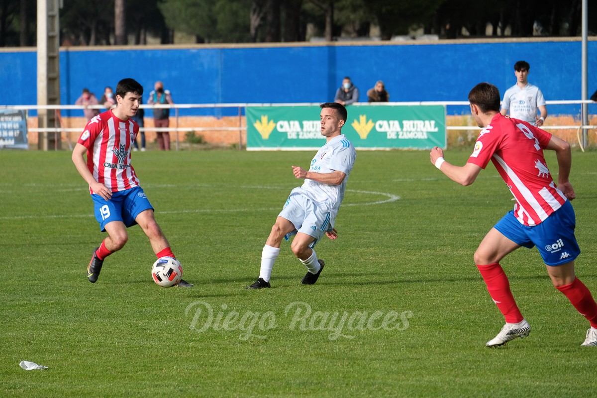 torde-mirandes-3421-87