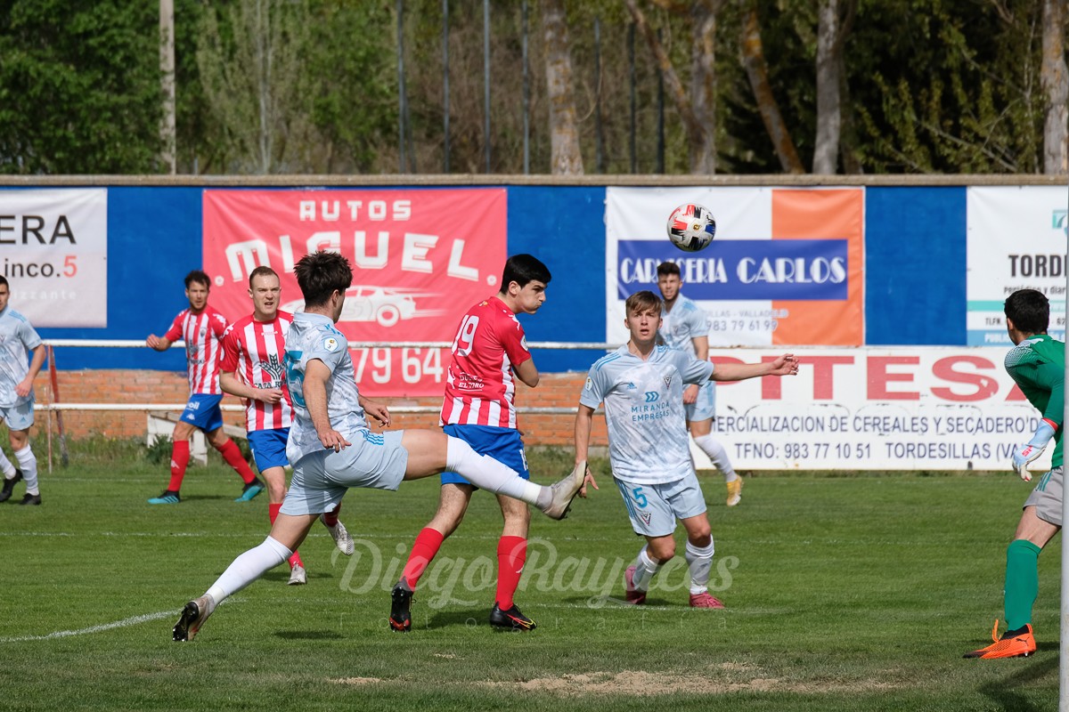 torde-mirandes-3421-8