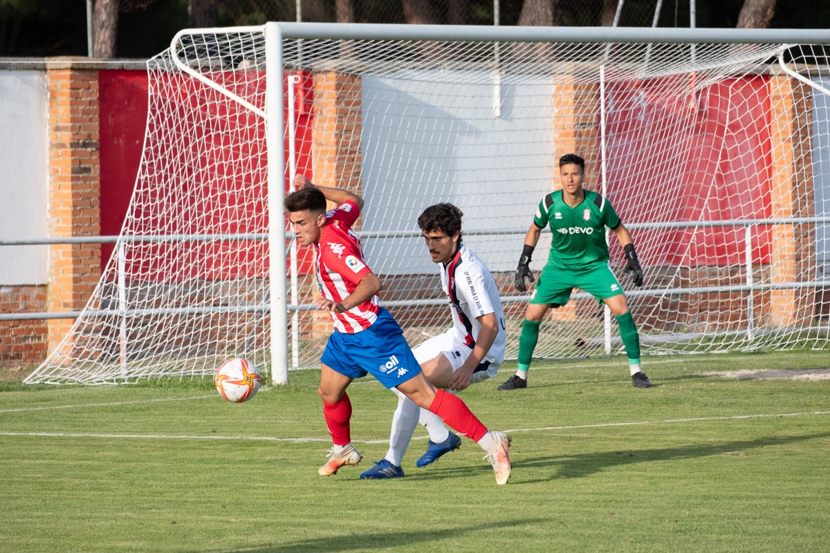 torde1-avila0-96