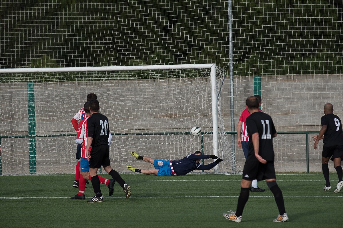 vet-zamora-torde-118