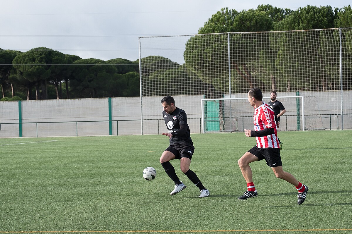 vet-zamora-torde-149