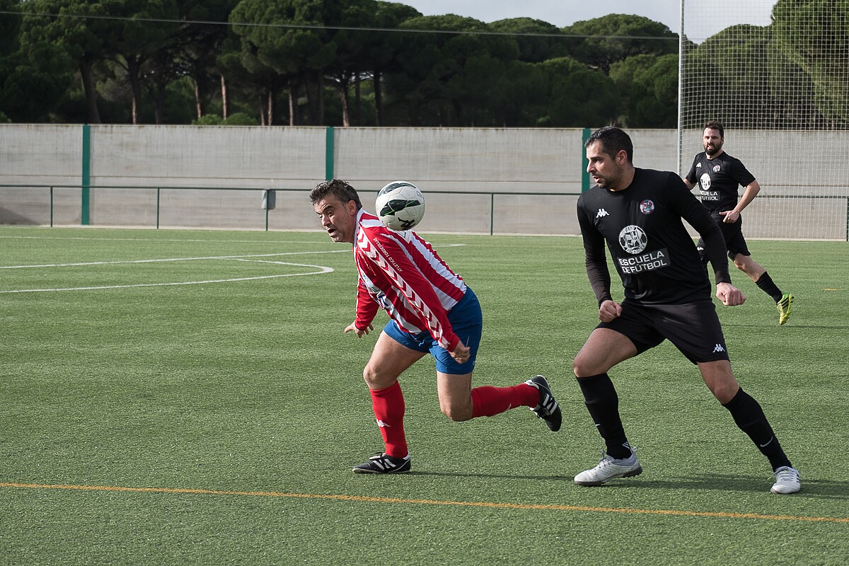 vet-zamora-torde-161